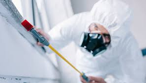 Professional Pest control in Holland, MI